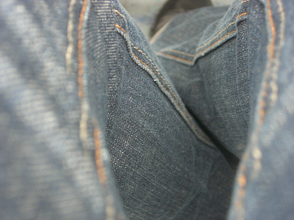 Pants clothing garment