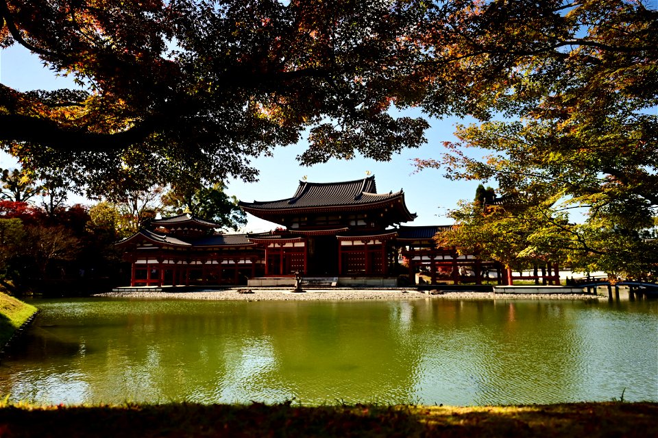 京都宇治平等院鳳凰堂 / Byodoin Hoohdo temple in Kyoto
