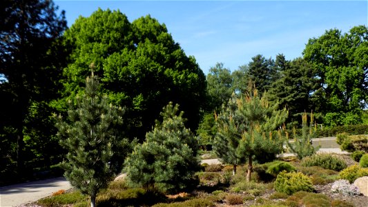Hryshko National Botanical Garden