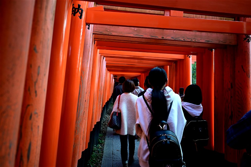 伏見稲荷/Fushimi Inari Shrine