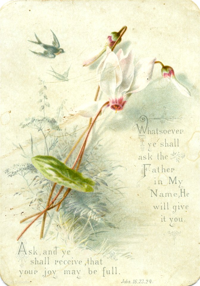 Christmas card, 1899