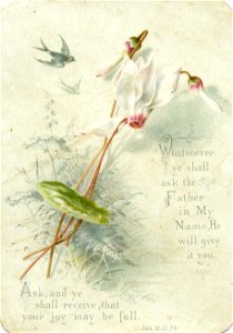 Christmas card, 1899