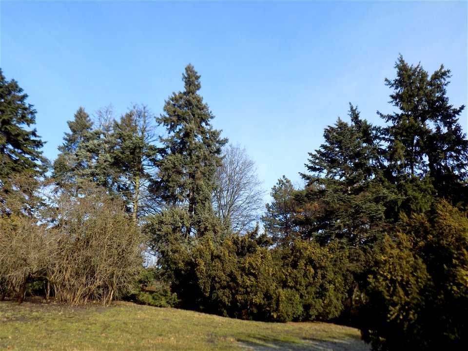 Hryshko National Botanical Garden