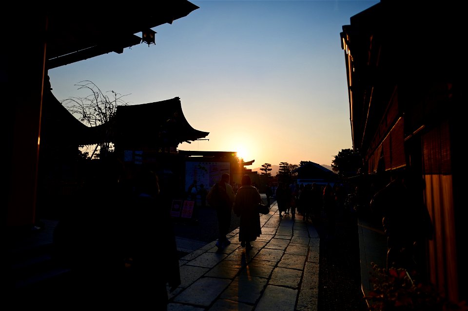 伏見稲荷/Fushimi Inari Shrine