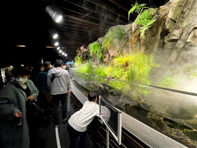 京都水族館 / Kyoto Aquarium