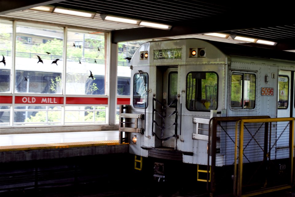 TTC T1 5096 Towards Kennedy at Old Mill.