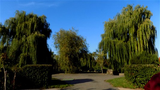 Hryshko National Botanical Garden
