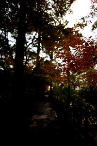 京都龍安寺/Kyoto Ryoanji