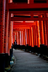 伏見稲荷/Fushimi Inari Shrine