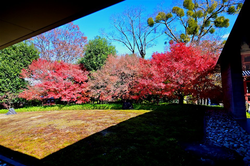 京都宇治平等院鳳凰堂 / Byodoin Hoohdo temple in Kyoto