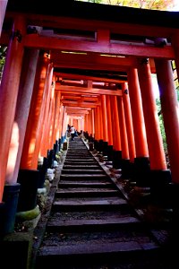 伏見稲荷/Fushimi Inari Shrine