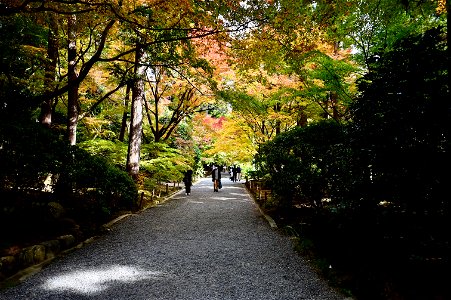 京都龍安寺/Kyoto Ryoanji
