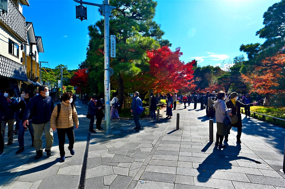 京都宇治平等院鳳凰堂 / Byodoin Hoohdo temple in Kyoto