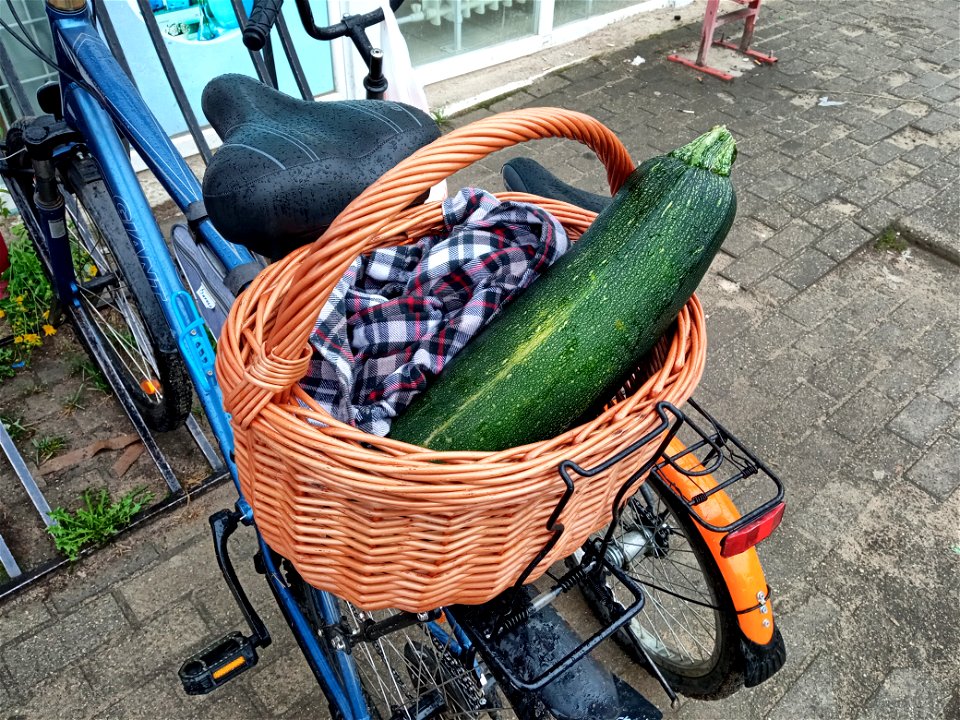 Marrow in a basket