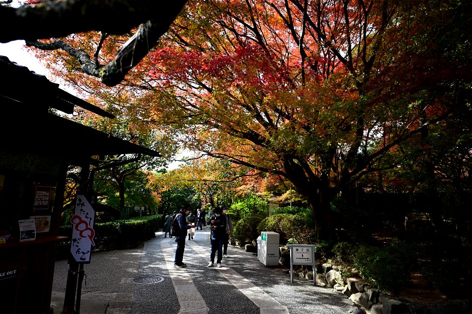 京都龍安寺/Kyoto Ryoanji