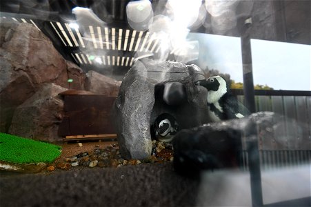 京都水族館 / Kyoto Aquarium