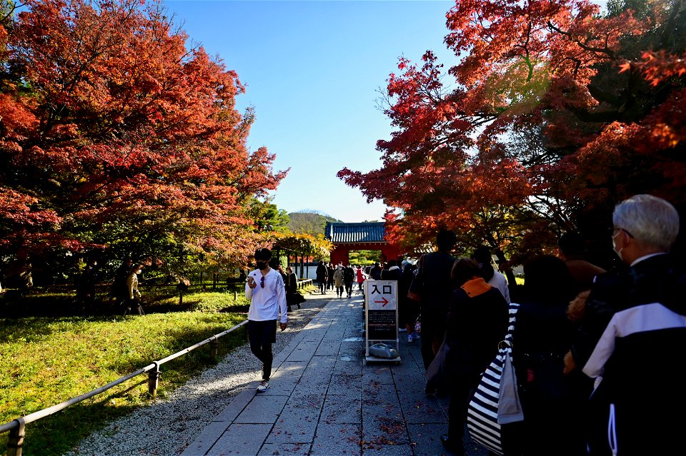 京都宇治平等院鳳凰堂 / Byodoin Hoohdo temple in Kyoto photo