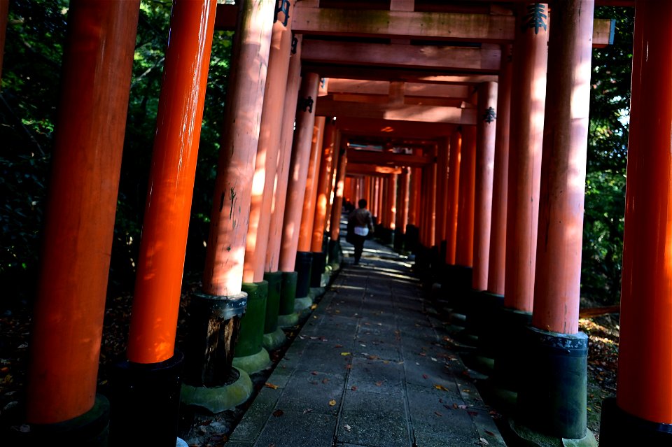 伏見稲荷/Fushimi Inari Shrine