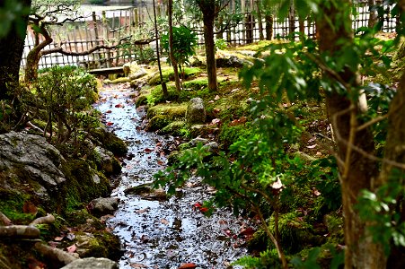 京都龍安寺/Kyoto Ryoanji
