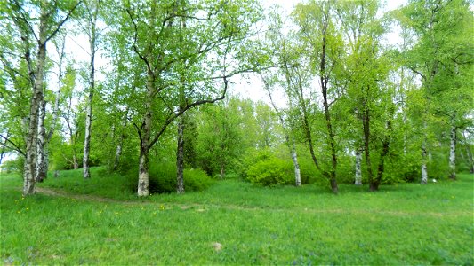 Hryshko National Botanical Garden