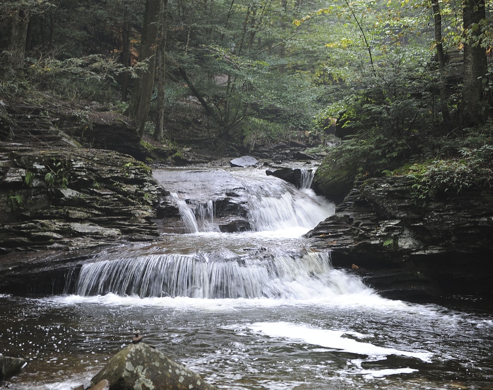 Ricketts Glen State Park