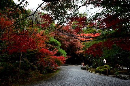 京都龍安寺/Kyoto Ryoanji