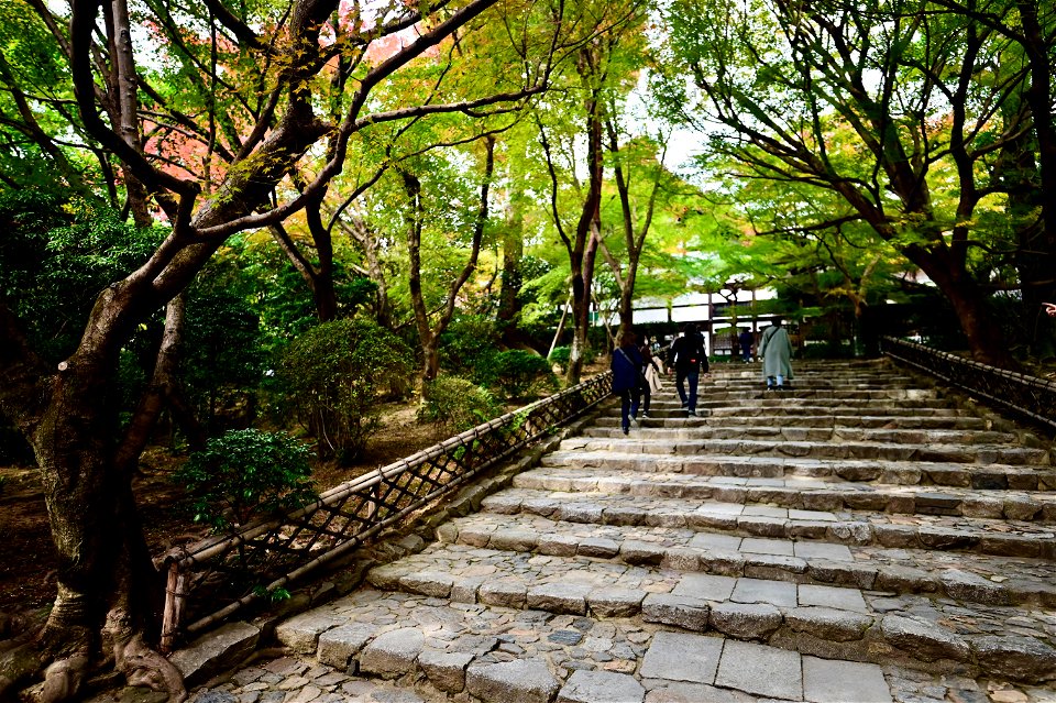 京都龍安寺/Kyoto Ryoanji