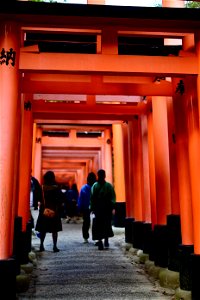 伏見稲荷/Fushimi Inari Shrine