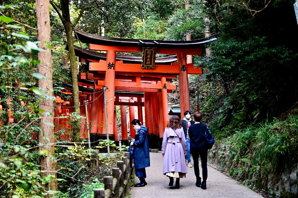 伏見稲荷/Fushimi Inari Shrine
