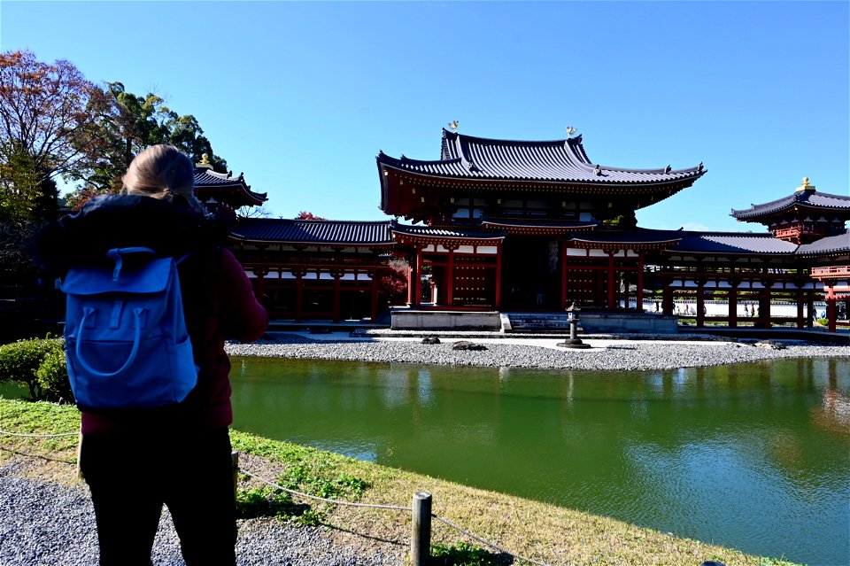 京都宇治平等院鳳凰堂 / Byodoin Hoohdo temple in Kyoto photo