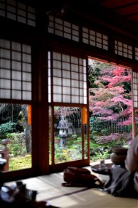 京都龍安寺/Kyoto Ryoanji