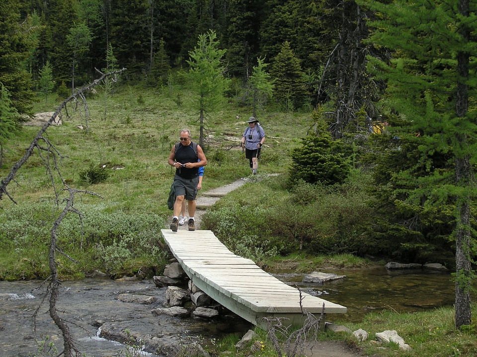 Hiking At Sunshine Meadows - Free Stock Photos | Creazilla