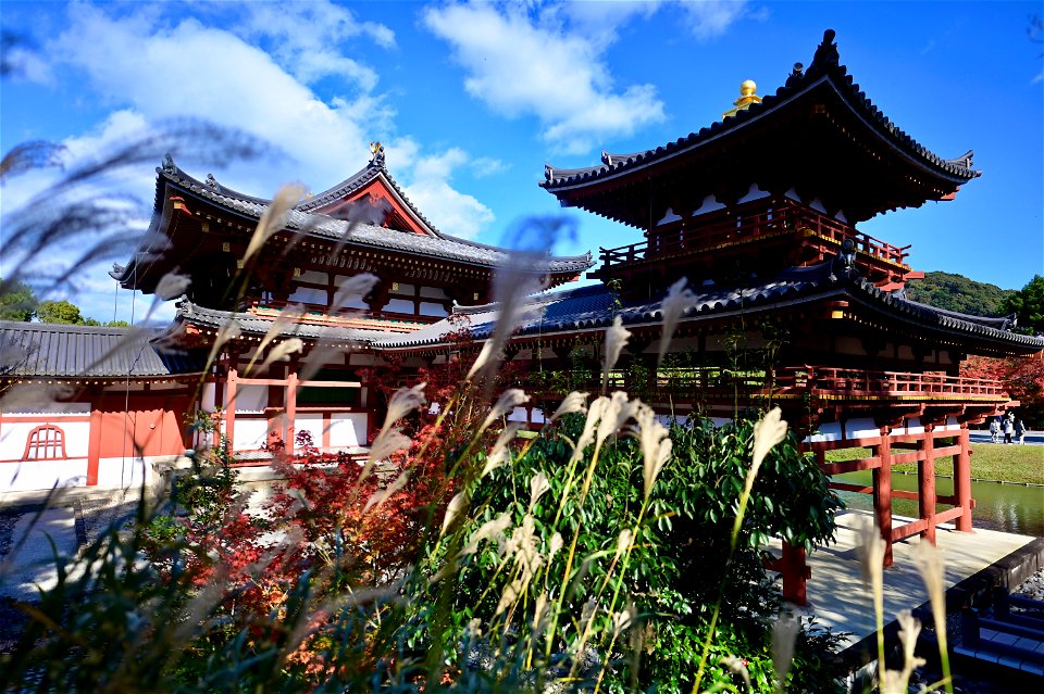 京都宇治平等院鳳凰堂 / Byodoin Hoohdo temple in Kyoto