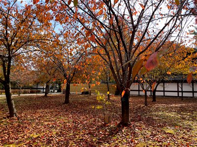 IMG_3671