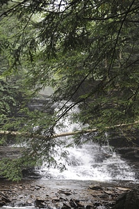 Ricketts Glen State Park