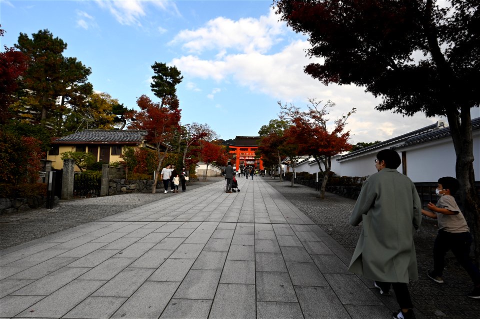伏見稲荷/Fushimi Inari Shrine