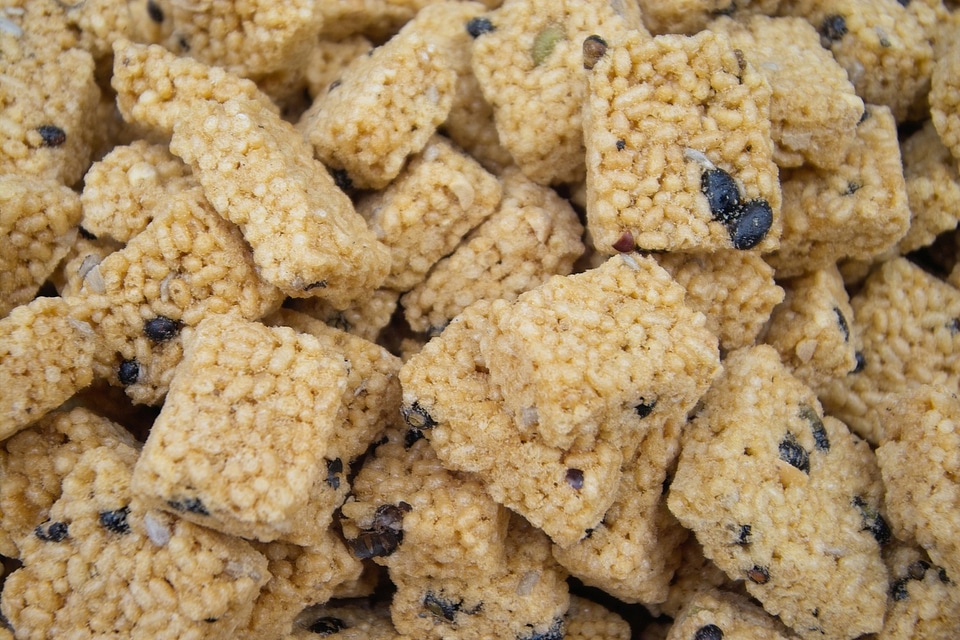 Korean traditional cookies