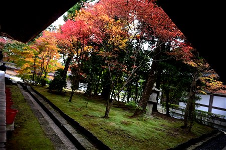 京都龍安寺/Kyoto Ryoanji