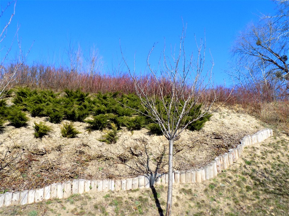 Hryshko National Botanical Garden