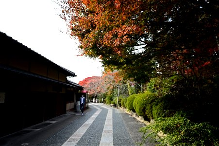 京都龍安寺/Kyoto Ryoanji