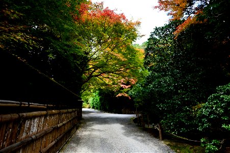 京都龍安寺/Kyoto Ryoanji