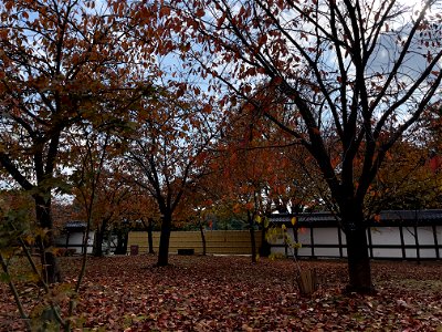 IMG_3670