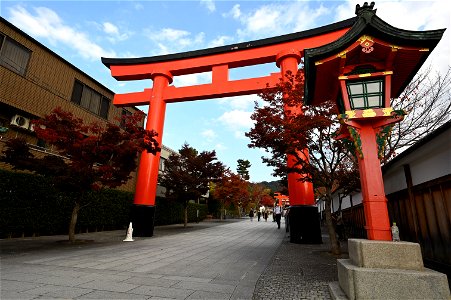 伏見稲荷/Fushimi Inari Shrine