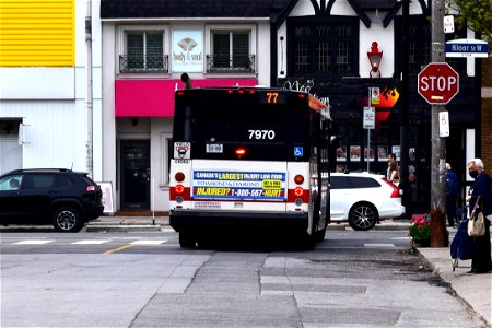 TTC Orion OG 7970. 77 route after departing Runnymede.