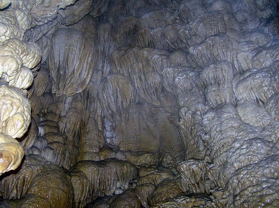 Paradise Lost Oregon Caves National Monument
