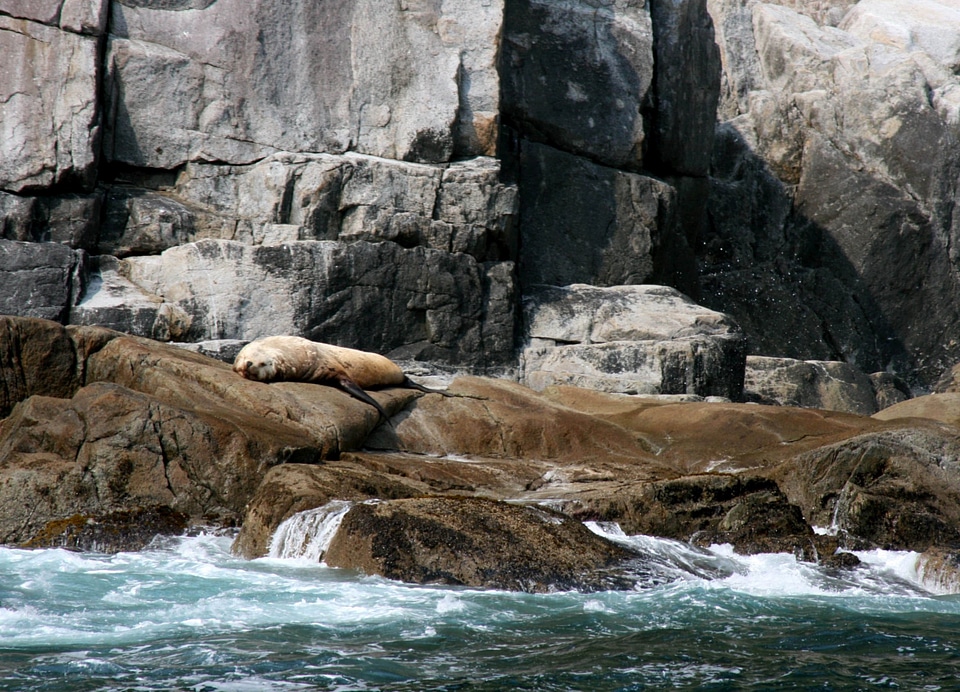 Kenai Fjords Coast