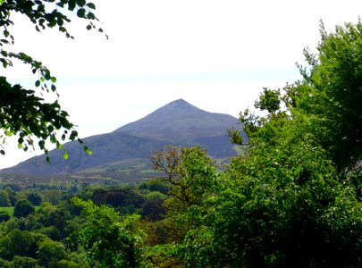 Dsc00150