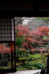 京都龍安寺/Kyoto Ryoanji