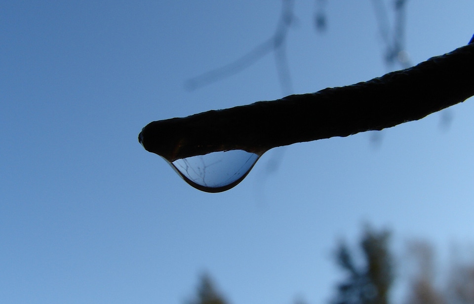 Drops rain rain drops
