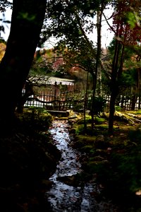 京都龍安寺/Kyoto Ryoanji
